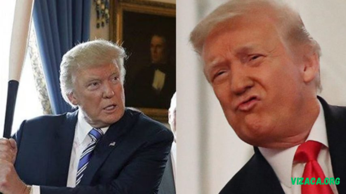 Trump Bat Trump Bat