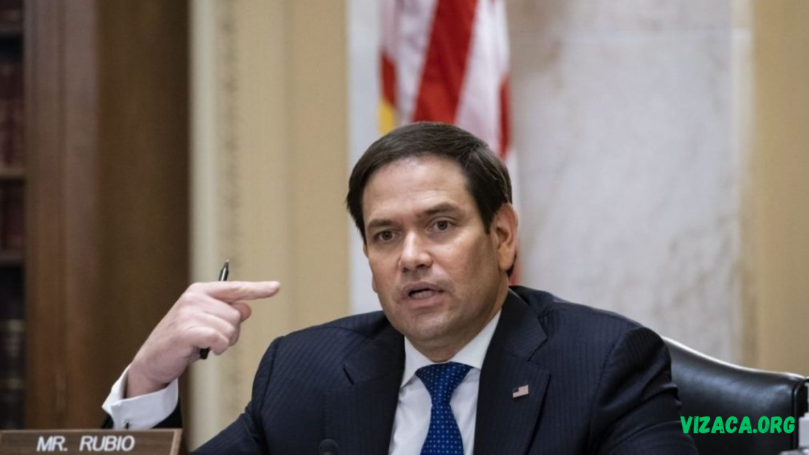 Rubio Rubio
